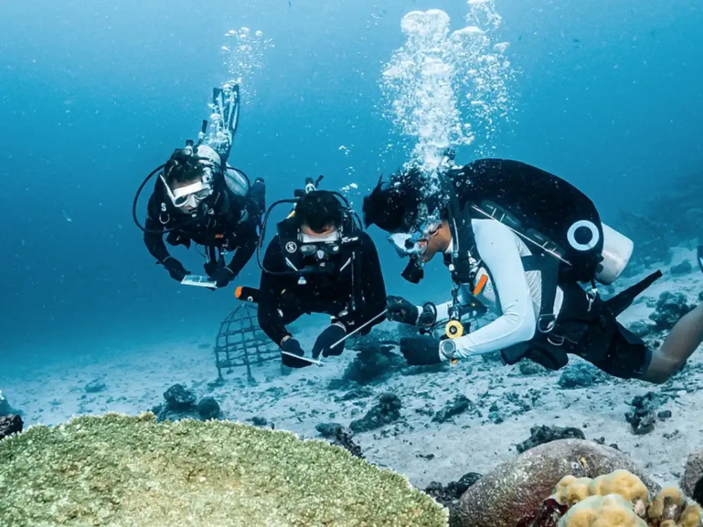 Students checking the dive log book on an advanced diver course in Indonesia
