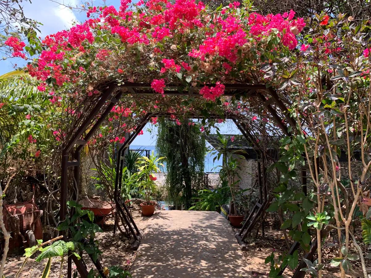 The tropical garden and shaded practice space at Tevana House Reef