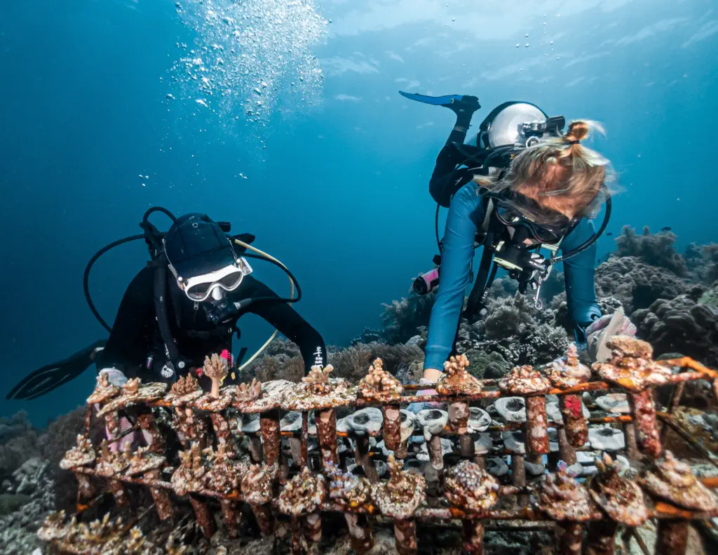 Diver descending toward the reef