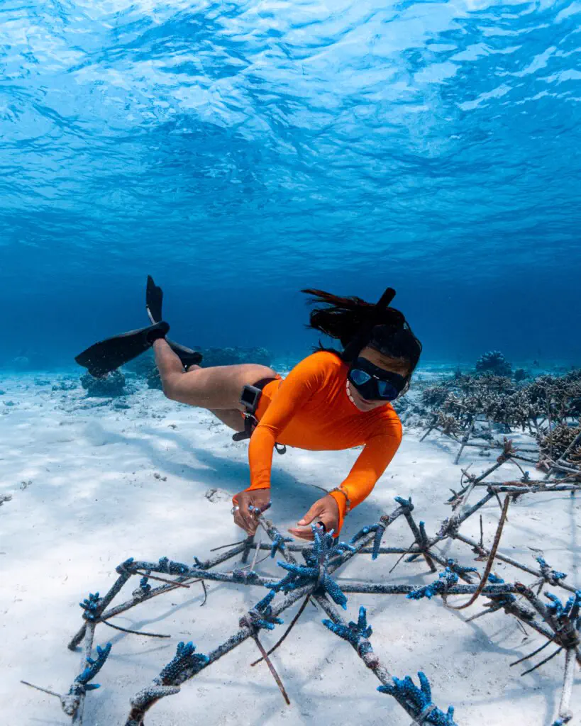 Freediver gliding over the coral reef in Bira