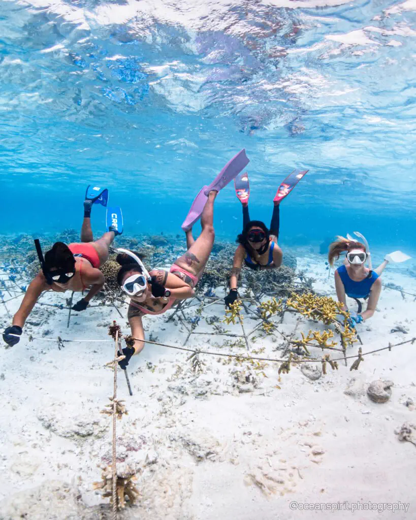Freediver descending along the reef wall in Bira