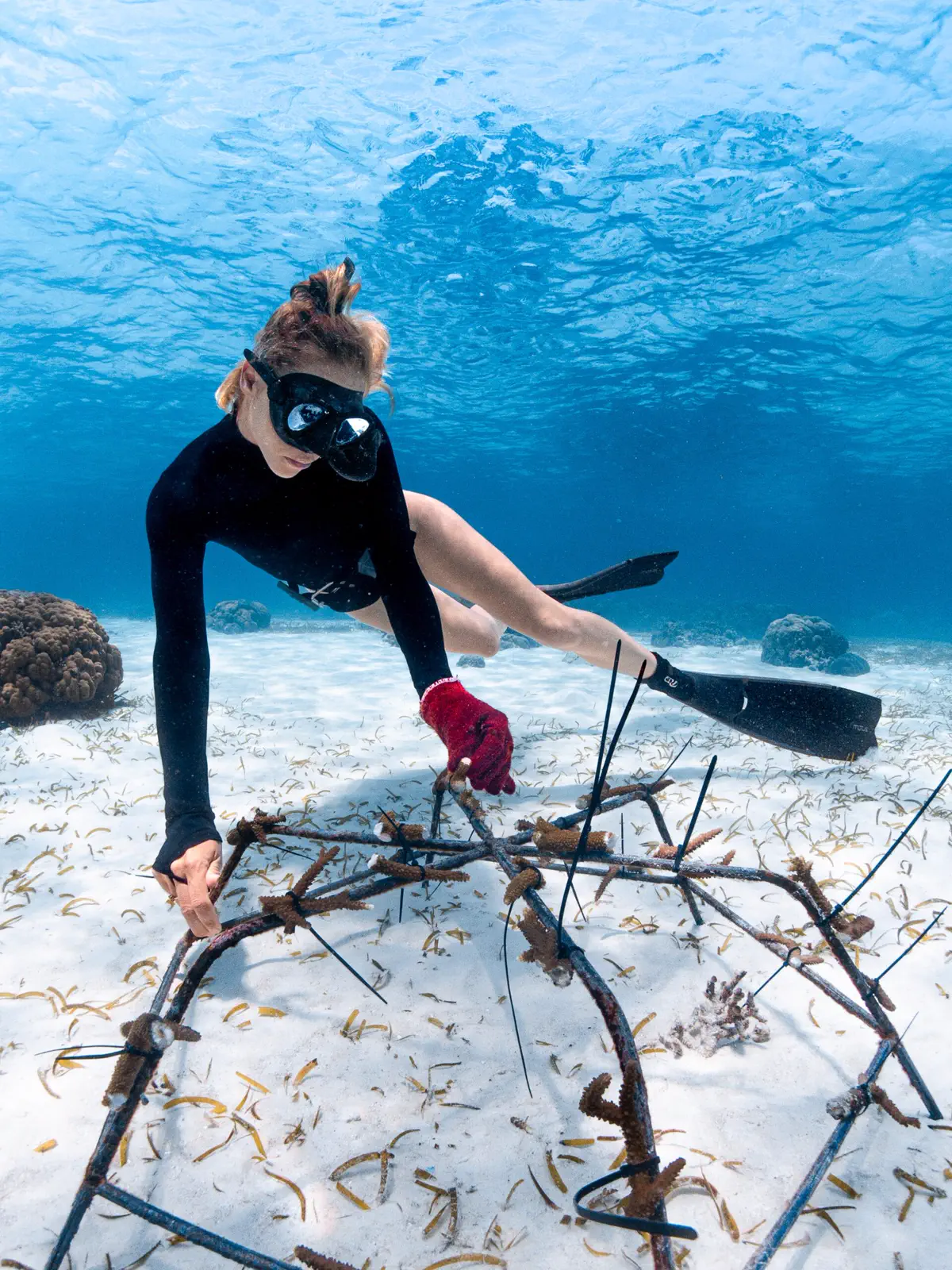 Freediver swimming through open water in Bira