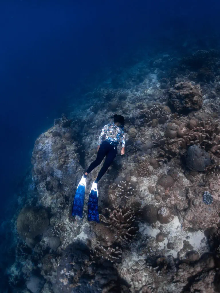 Diver surveying the coral nursery frames