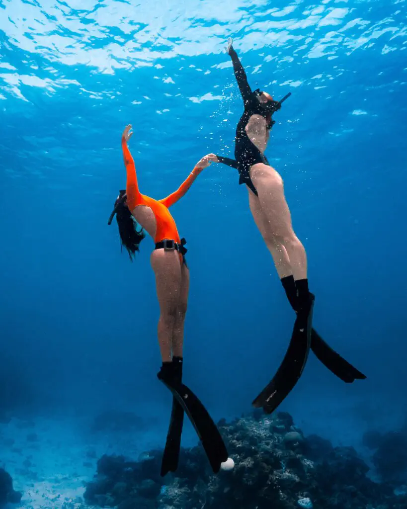 Diver exploring a coral bommie on the house reef