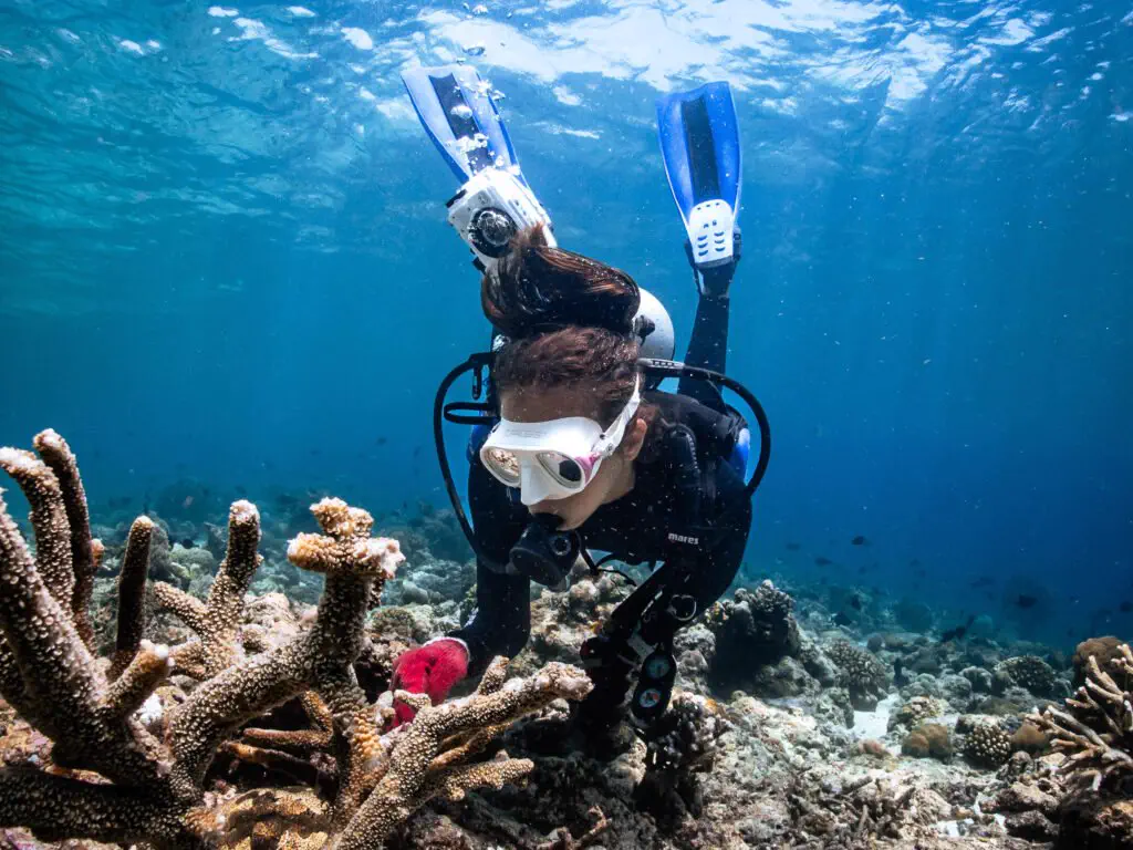 Coral restoration course participant working on a nursery frame