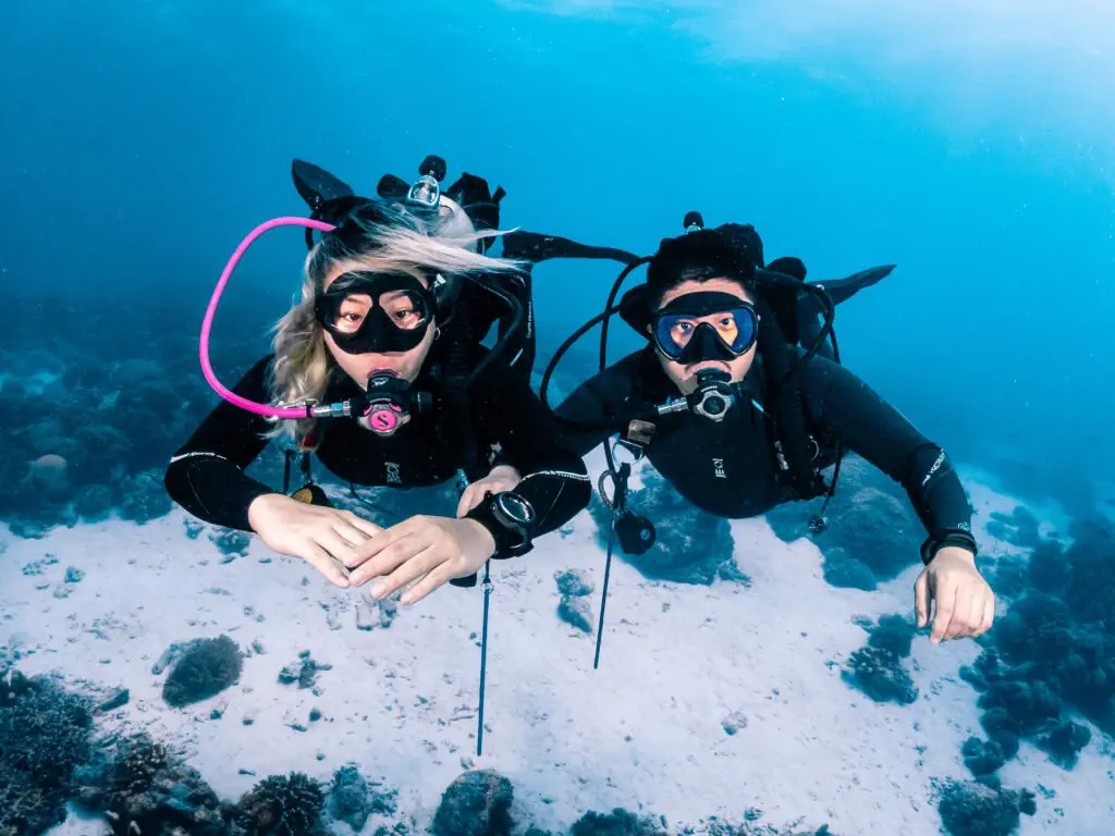 Student diver practicing skills on the house reef